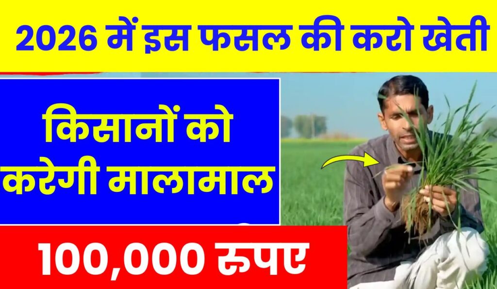 2026 में इस फसल की करो खेती