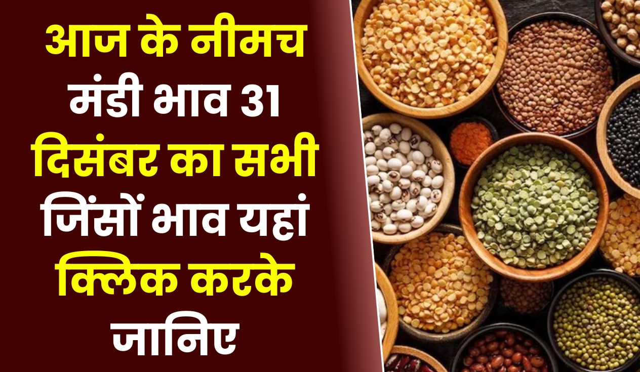 Neemuch Mandi Bhav Today