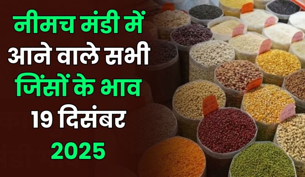 नीमच मंडी में आज के भाव