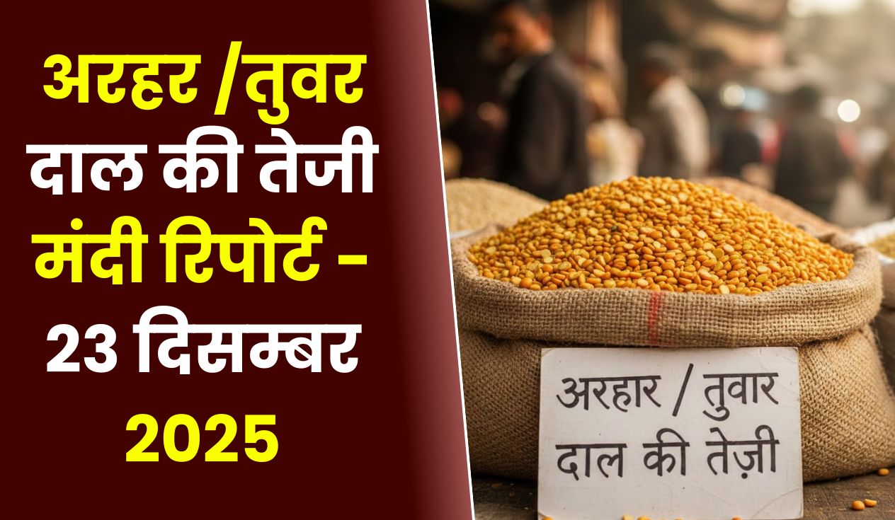 अरहर /तुवर दाल की तेजी