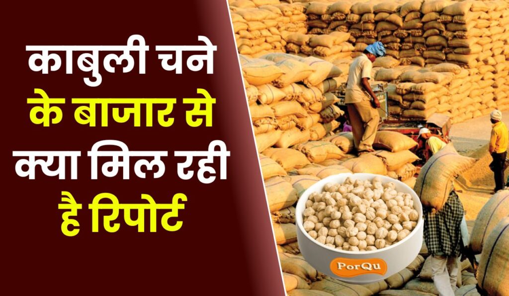 काबुली चने के बाजार से क्या मिल रही है रिपोर्ट