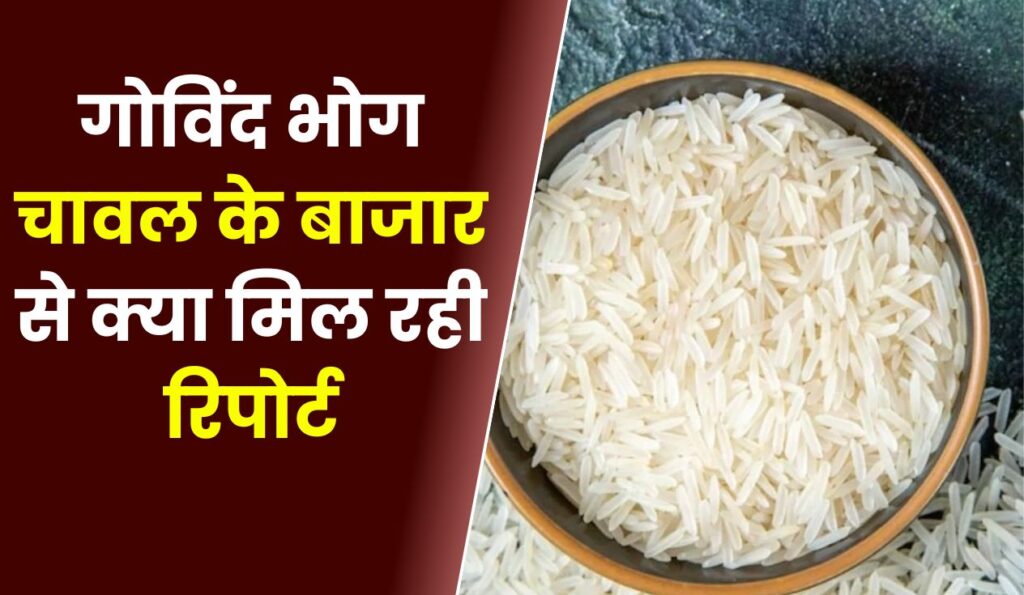 गोविंद भोग चावल के बाजार से क्या मिल रही रिपोर्ट