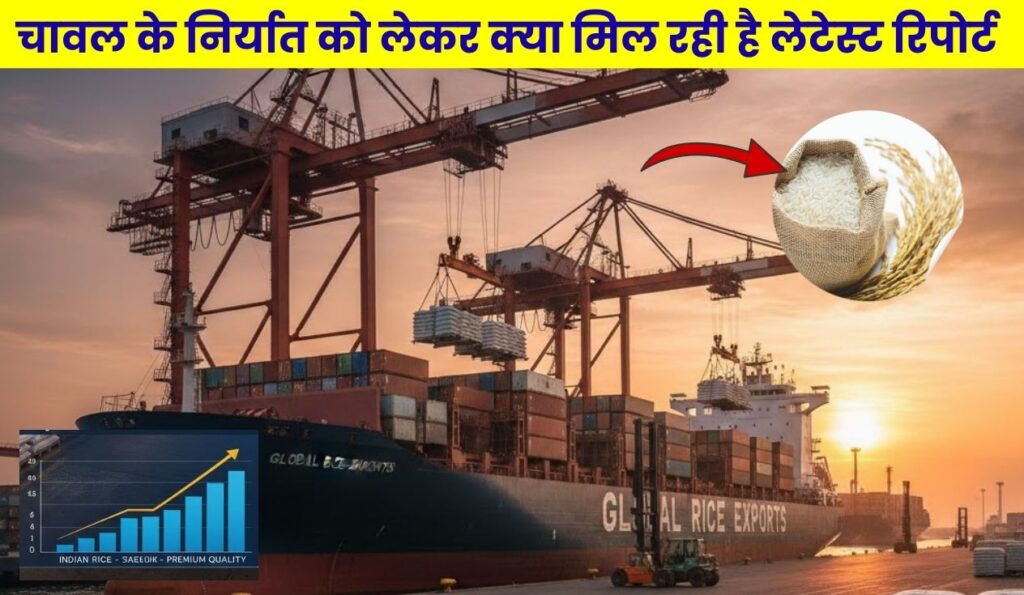 चावल के निर्यात को लेकर क्या मिल रही है लेटेस्ट रिपोर्ट