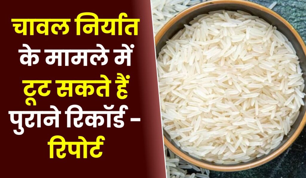 चावल निर्यात के मामले में टूट सकते हैं पुराने रिकॉर्ड - रिपोर्ट