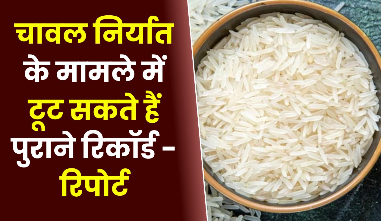 चावल निर्यात के मामले में टूट सकते हैं पुराने रिकॉर्ड - रिपोर्ट