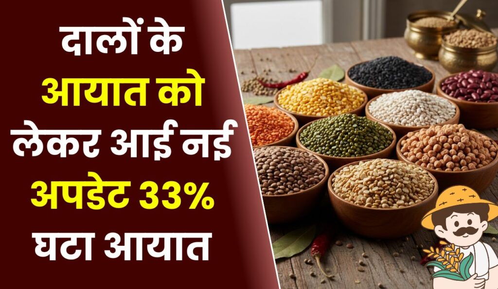 दालों के आयात को लेकर आई नई अपडेट 33% घटा आयात