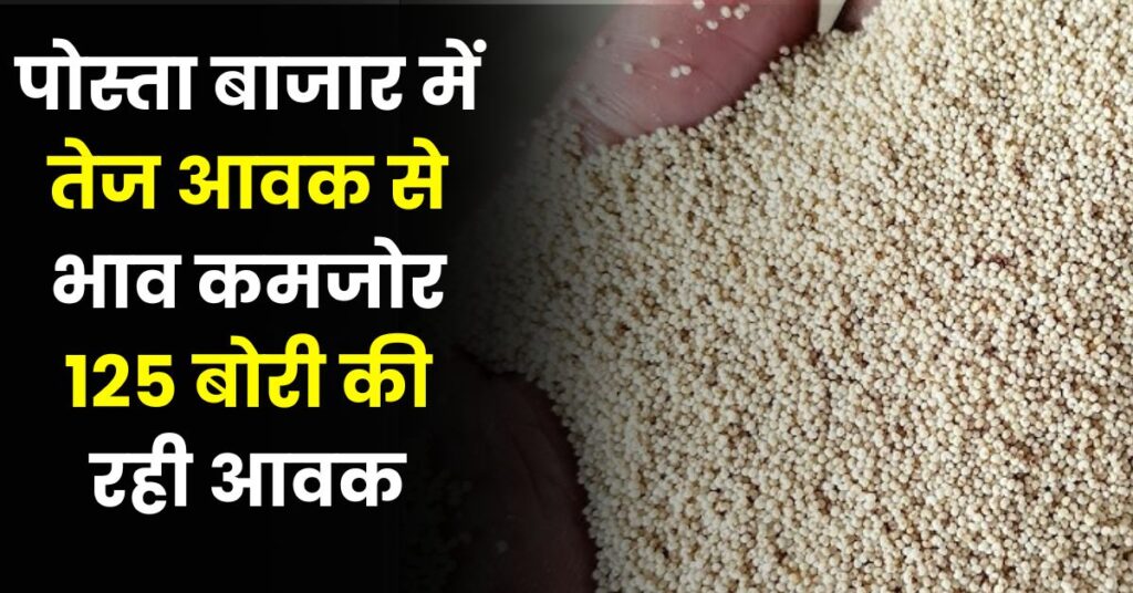 पोस्ता बाजार में तेज आवक से भाव कमजोर 125 बोरी की रही आवक