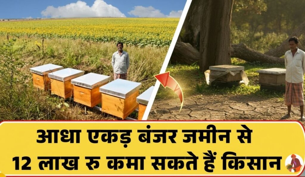 बंजर जमीन को अमीर बनाने का राज़