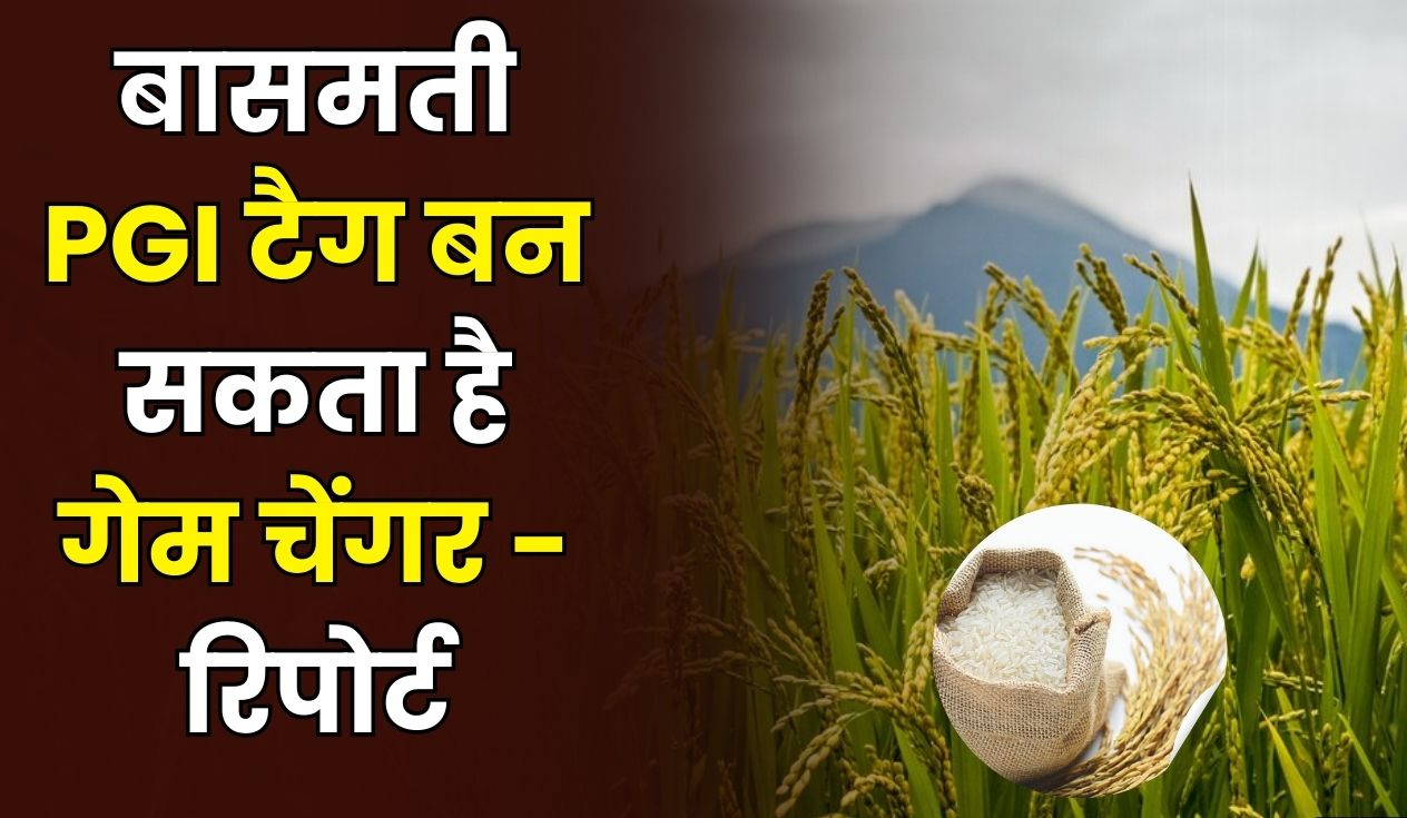 बासमती की वैश्विक पहचान की जंग