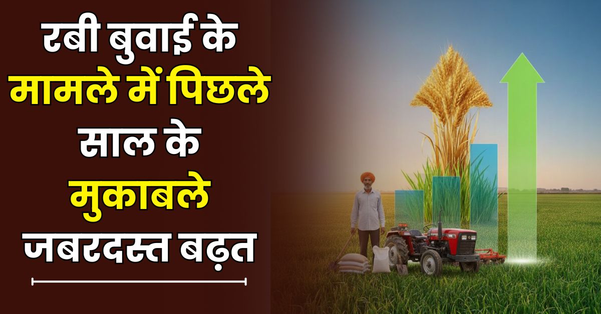 रबी बुवाई के मामले में पिछले साल के मुकाबले जबरदस्त बढ़त