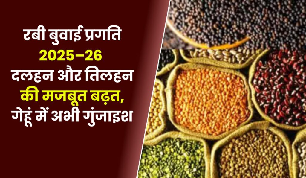 रबी बुवाई प्रगति 2025–26
