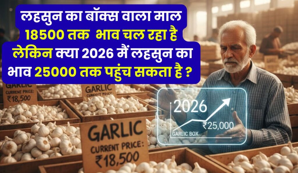 लहसुन का बॉक्स वाला माल 18500 तक  