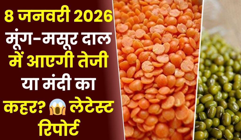 8 जनवरी 2026 मूंग-मसूर दाल में आएगी तेजी या मंदी का कहर 😱 लेटेस्ट रिपोर्ट