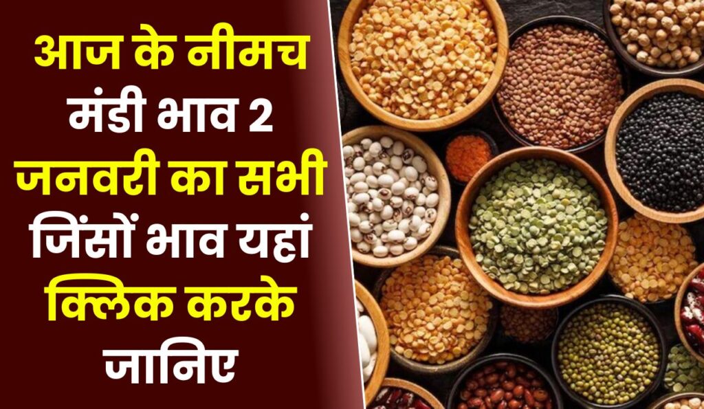 Neemuch Mandi Bhav Today 