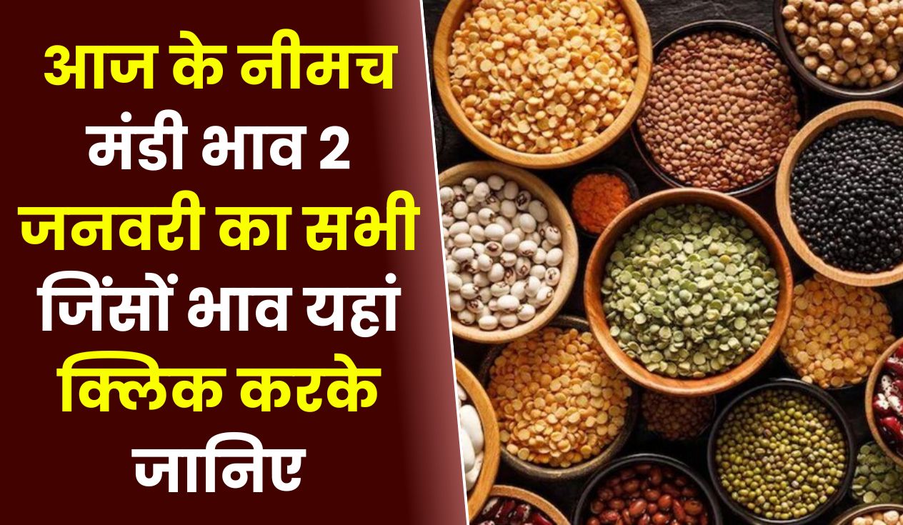 Neemuch Mandi Bhav Today