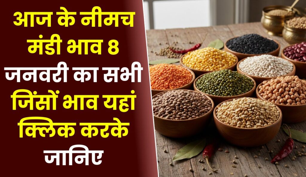 Neemuch Mandi Bhav Today