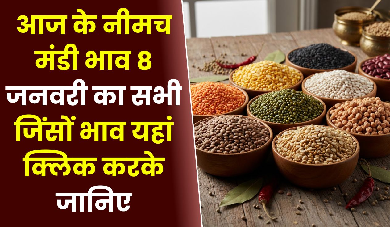 Neemuch Mandi Bhav Today