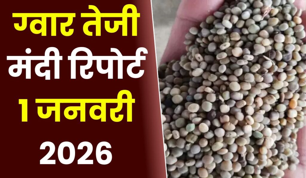 ग्वार तेजी मंदी रिपोर्ट - 01 Jan 2026