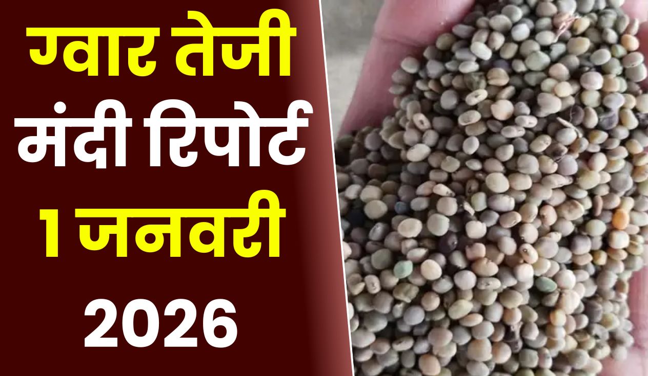 ग्वार तेजी मंदी रिपोर्ट - 01 Jan 2026