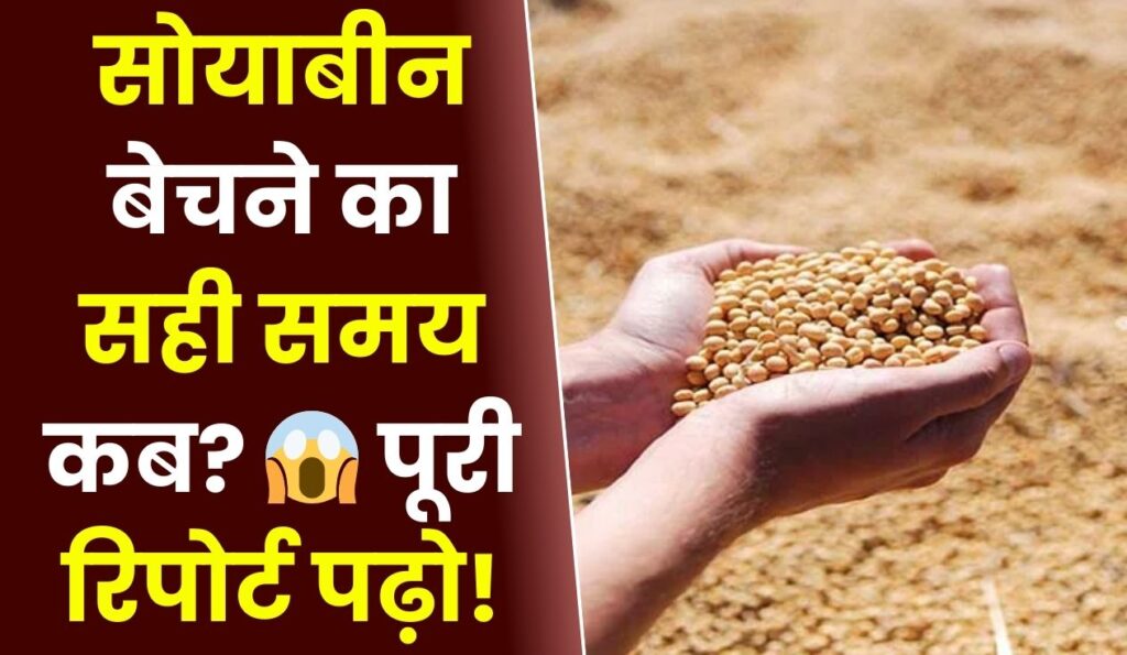 सोयाबीन बेचने का सही समय कब 😱 पूरी रिपोर्ट पढ़ो!
